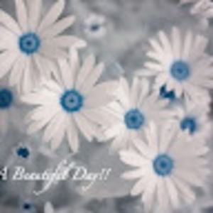 Meet your Posher, Mary e